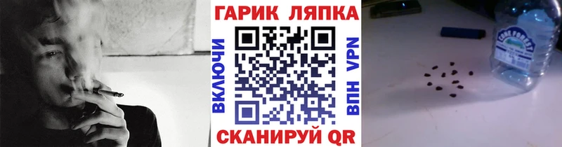 ГАШ Ice-O-Lator купить omg Невинномысск