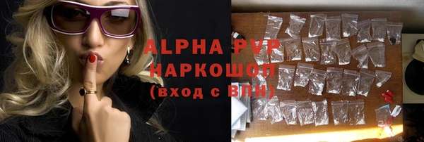 молекула духа Медвежьегорск