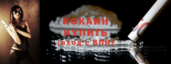 твердый Михайлов