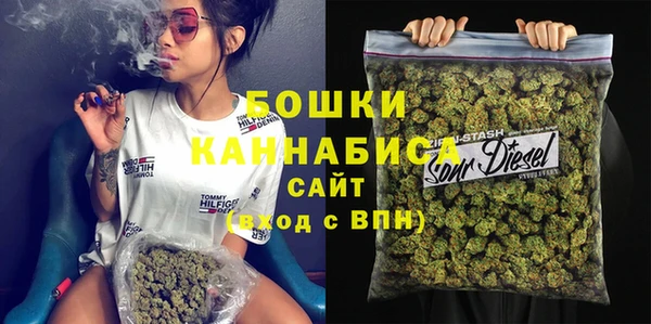 молекула духа Медвежьегорск