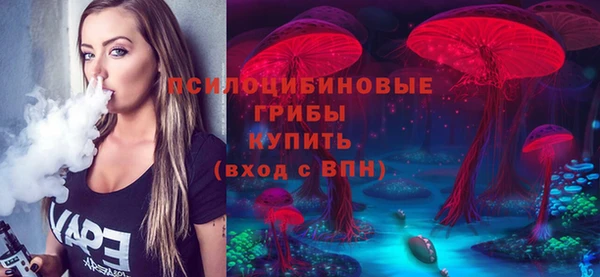 твердый Михайлов