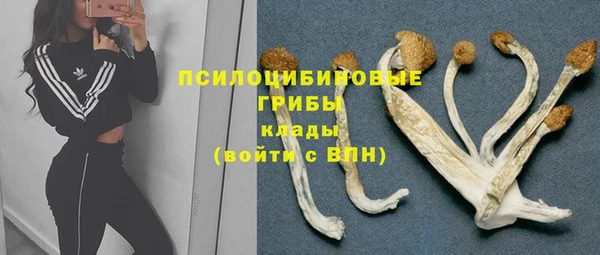 прущий лед Медногорск