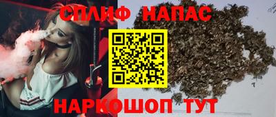 МДПВ Будённовск