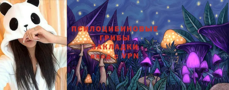 Галлюциногенные грибы Cubensis  гидра ONION  Невинномысск 