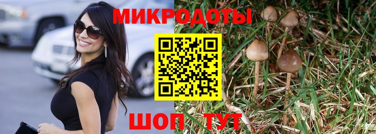 купить  сайты  Вход с VPN  Невинномысск  Псилоцибиновые грибы GOLDEN TEACHER 
